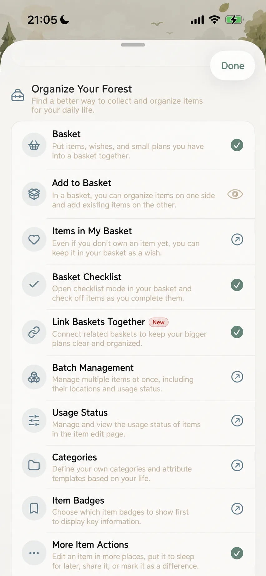 Organizing the Forest realm with baskets, connections, and batches