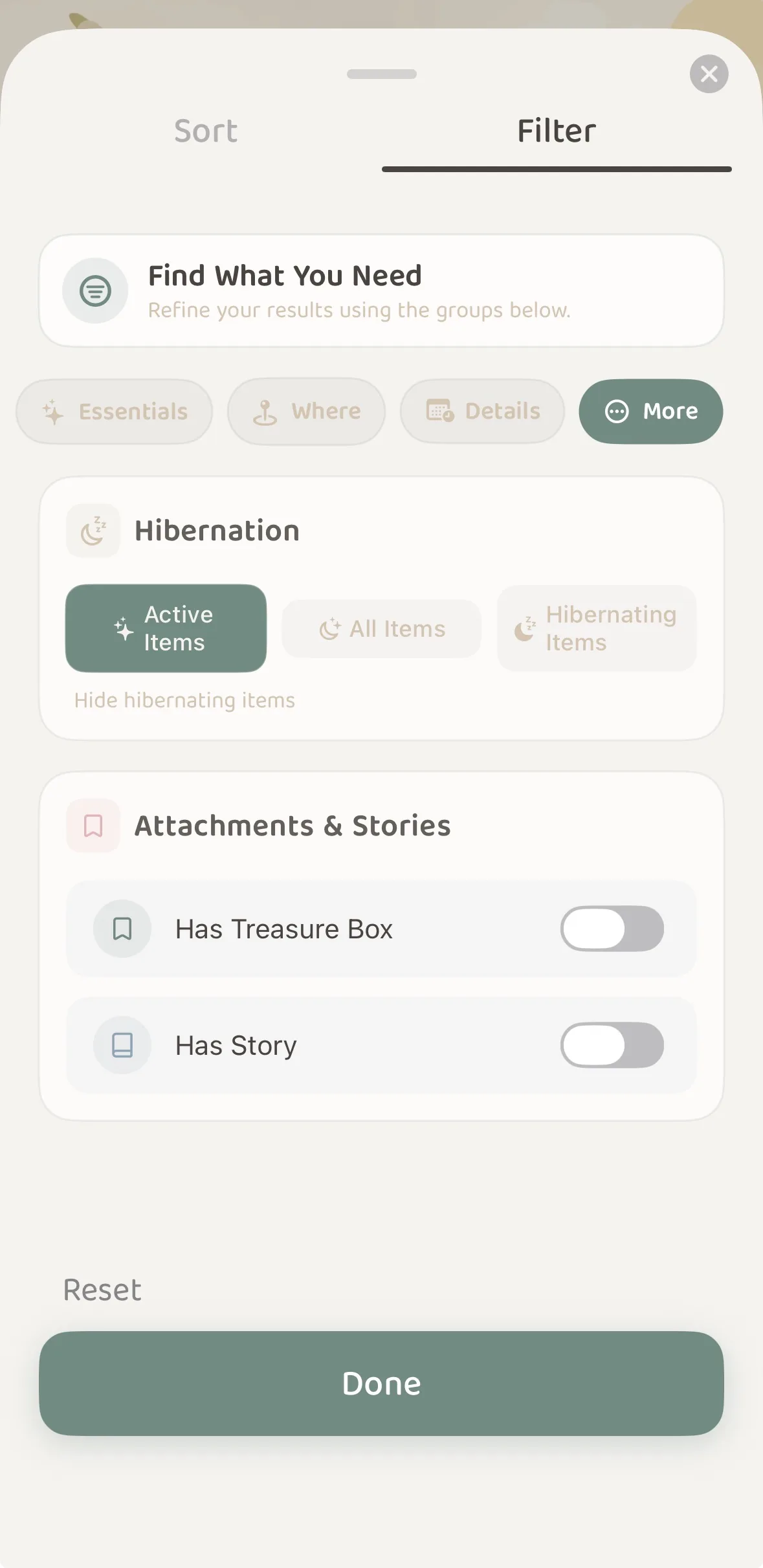 Hibernation mode options under the More tab in the filter panel